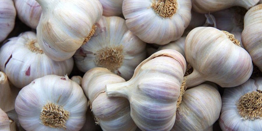 viele knoblauchzehen, knoblauch