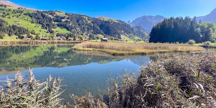 Das Lenkerseeli. - Lenk