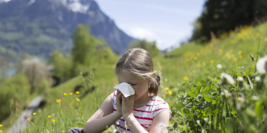 Allergikerinnen und Allergiker machen gemäss MeteoSchweiz mehr als 20 Prozent der Bevölkerung aus. (Symbolbild)