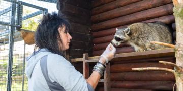 Mühletäli Wildpark Olten