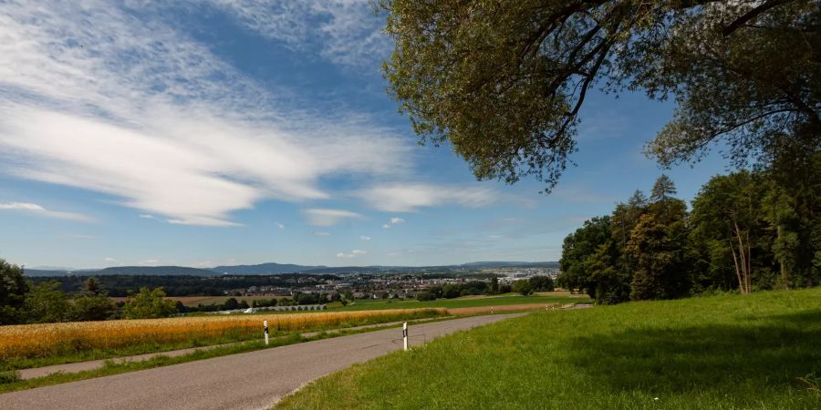 Eine Landstrasse in der Region Kloten.