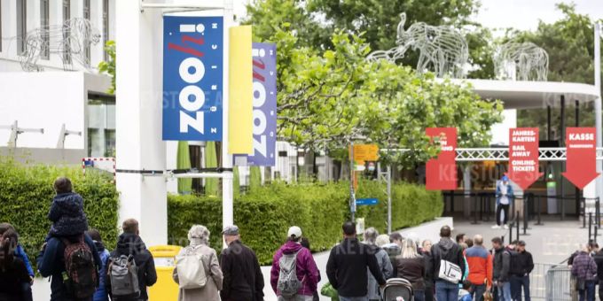 Mit dem ZVV-FerienPass gibt es unter anderem im Zoo Zürich Rabatt. Zoo Zürich ZVV-FerienPass