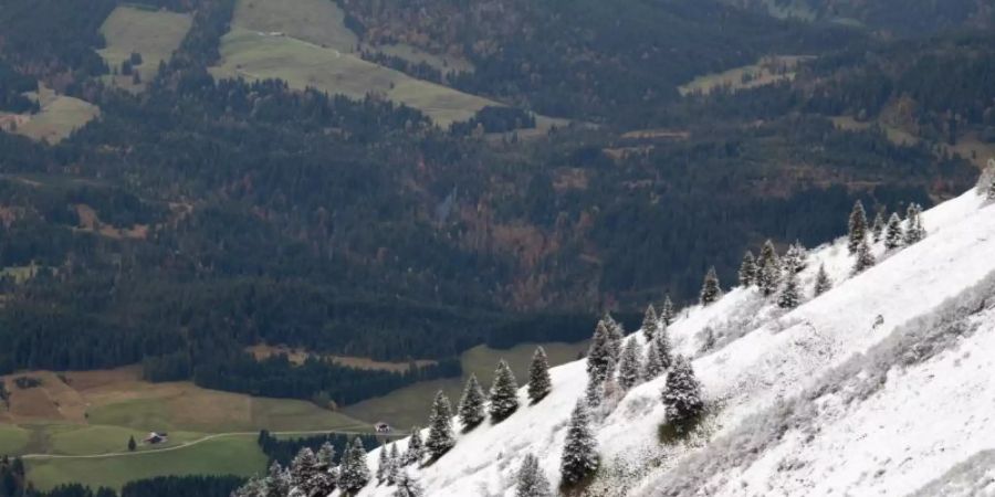 Ein mit etwas Schnee bedeckter Hang vor grünen Wiesen im Tal. Grund für die Erwärmung sind die hohen Lufttemperaturen in den Sommern der vergangenen Jahre. Foto: Jan Eifert/dpa