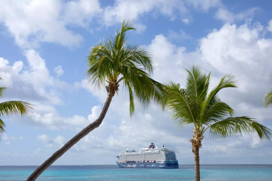 Kreuzfahrtschiff Meer Palmen