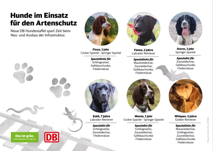 Die Deutsche Bahn stellt die sechs Hunde vor. deutsche bahn