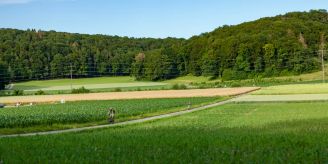 Gemeinde - Bülach soll grüner werden