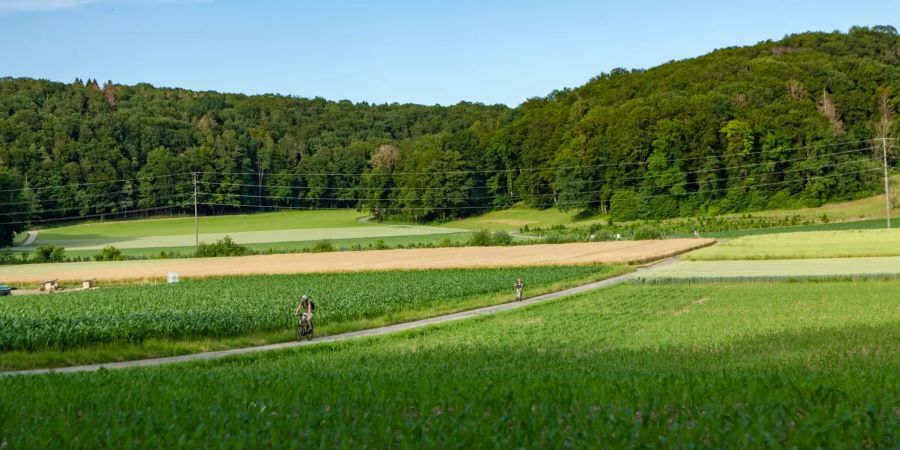 Wander- und Veloweg in Bülach.