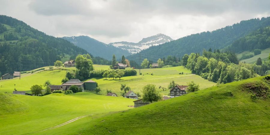 Toggenburger Landschaft bei Ebnat-Kappel.