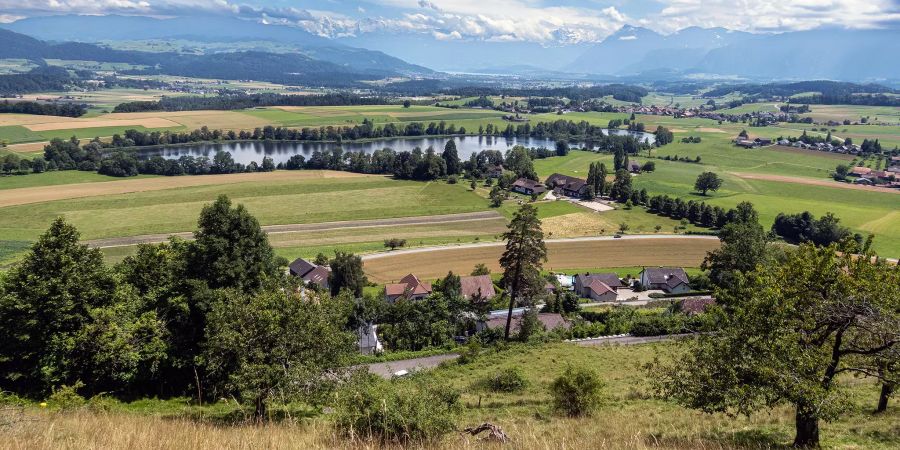 Der Gerzensee. Im Hintergrund Thun und die Berner Alpen.