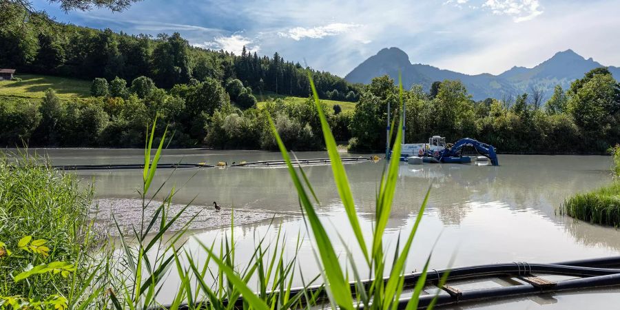 Das Naherholungsgebiet Stauweiher in Spiez.