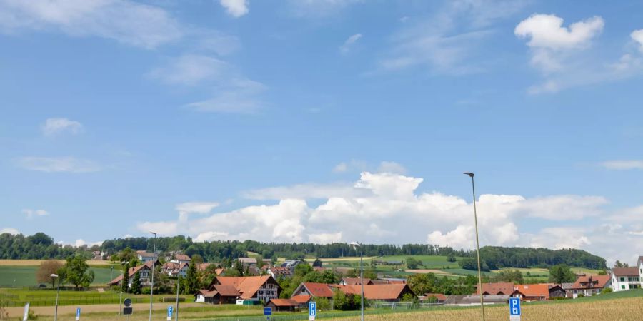 Aussicht über Niederweningen.