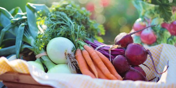 Mit vegetarischer Ernährung Diabetes bekämpfen. Vegetarische Ernährung bei Diabetes