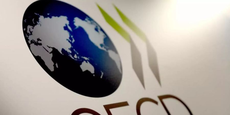 Der nun von der OECD vorgelegte Entwurf sieht unter anderem vor, dass sich die Besteuerung von grossen Internetkonzernen nicht nur am jeweiligen Firmensitz orientiert. Foto: Britta Pedersen/dpa-Zentralbild/dpa