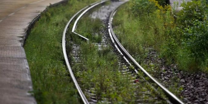 Gras und Unkraut zwischen Bahnschienen