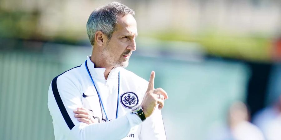 Eintracht Frankfurt Adi Hütter