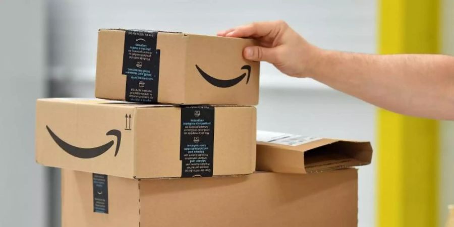 Wissenschaftler der Universität Bamberg hatten ermittelt, dass die Bundesbürger bei Bestellungen im Internet jedes sechste Paket wieder zurückschicken. Rund vier Prozent der Waren - rund 20 Millionen Produkte - landeten anschliessend im Müll. Foto: Martin Schutt