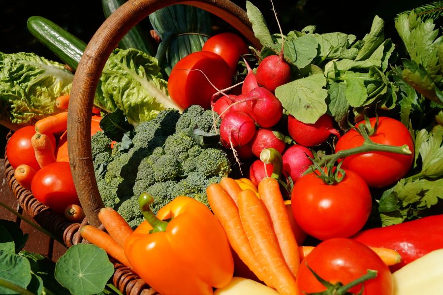 Gemüse Korb Peperoni Tomate Brokkoli Karotte