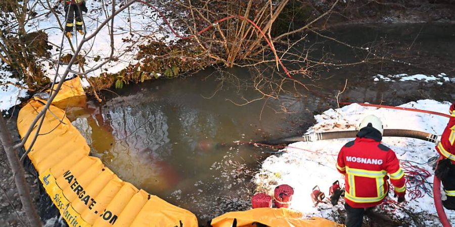 Die Feuerwehr errichtete im Mühlrütibach Sperren, um die ausgelaufene Jauche zu stoppen. Rund tausend Fische dürften verendet sein.