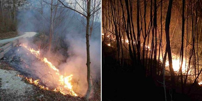 Oensingen SO: Zwei Feuerwehreinsätze wegen brennendem Waldboden Oensingen SO
