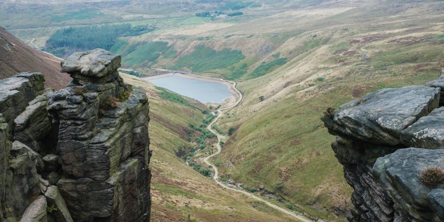 dovestone stausee renaturierung moos