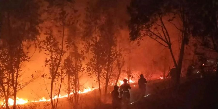 Fast 900 Feuerwehrleute waren im Einsatz gegen das Feuer