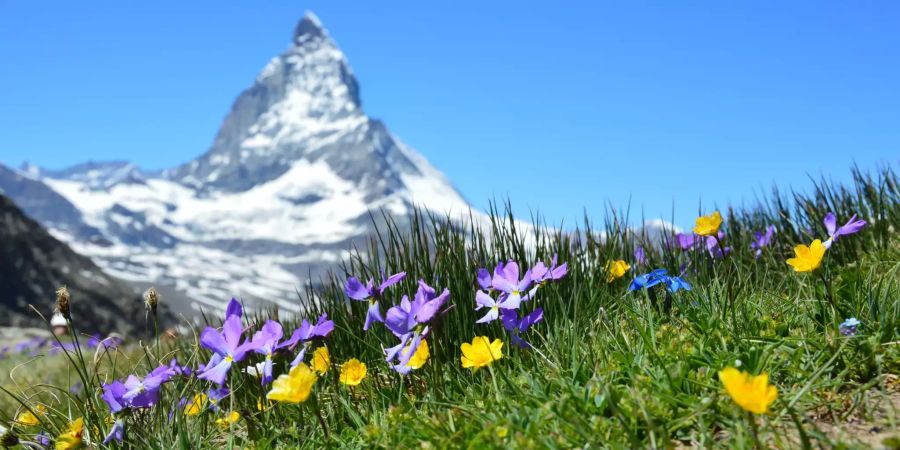 Matterhorn Schweiz Teuer