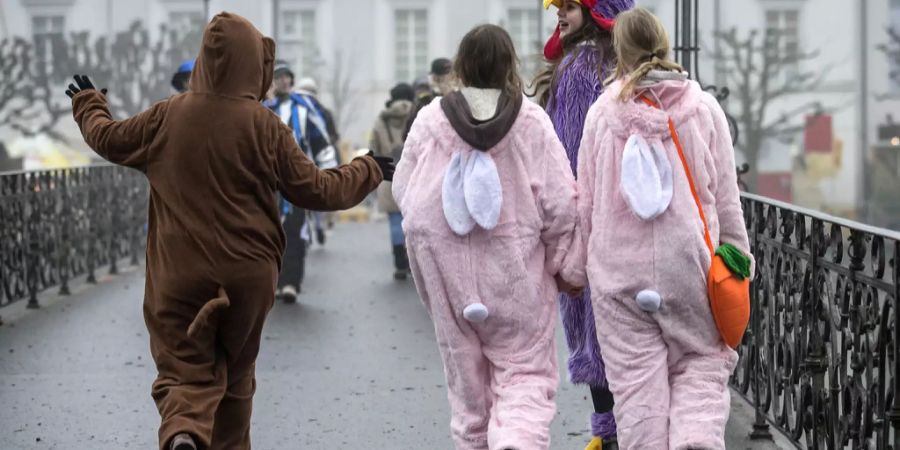 Die Fasnacht macht auch in Kostümen Spass, die nicht beleidigen.