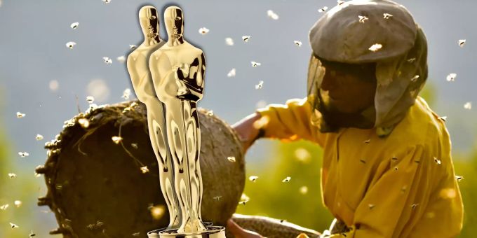 Doppelt nominiert! - Gibt es Hoffnung auf einen «Schweizer» Oscar?