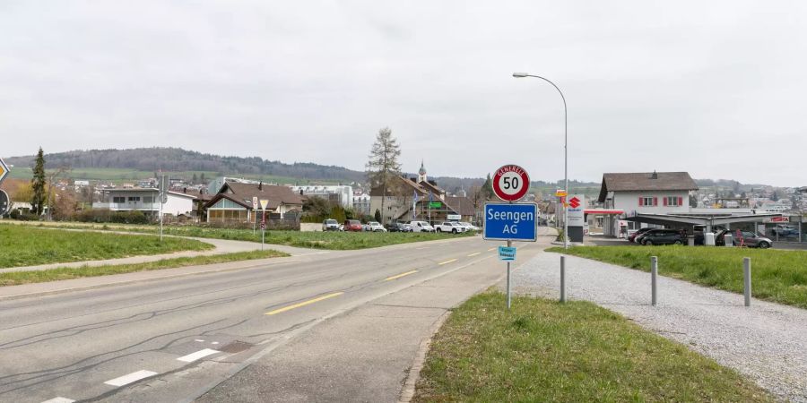 Einfahrtsstrasse Richtung Seengen.