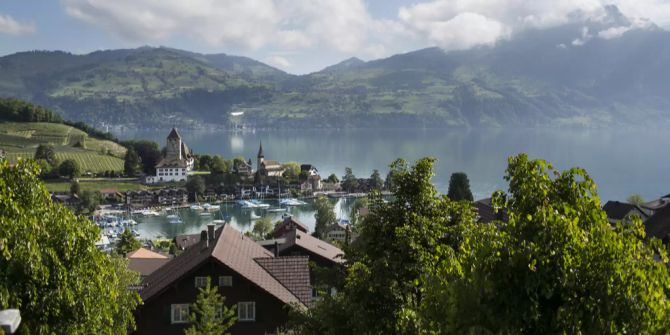 spiez