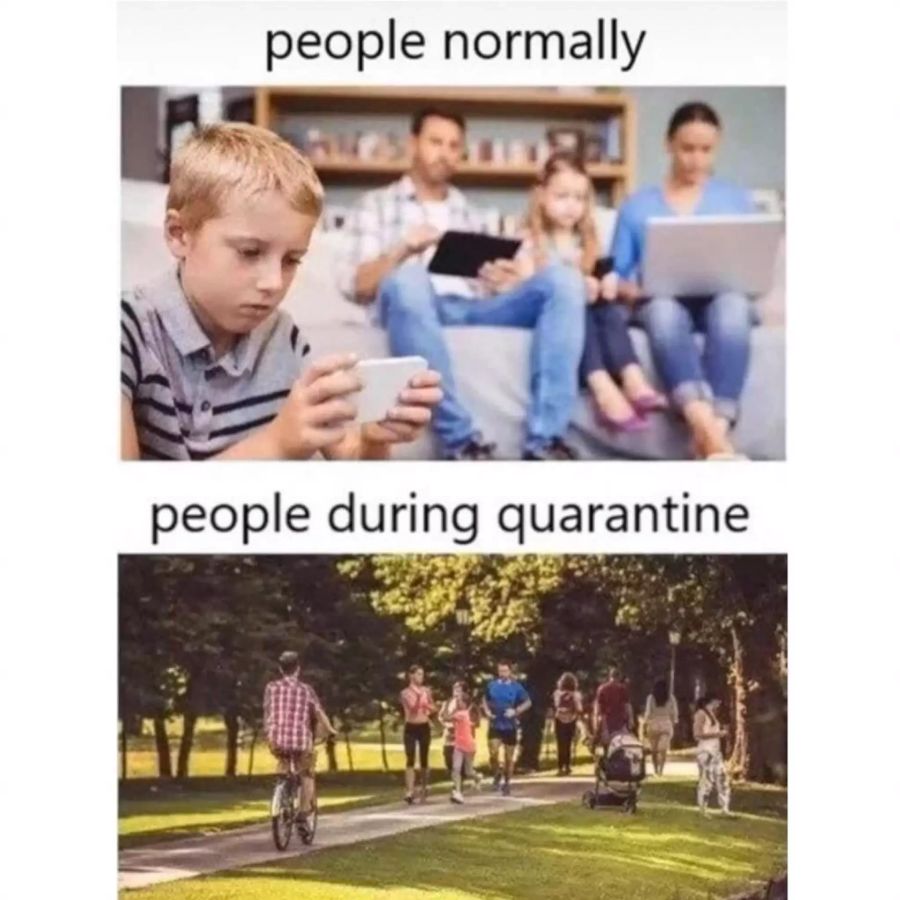 Corona-Memes zur Quarantäne.