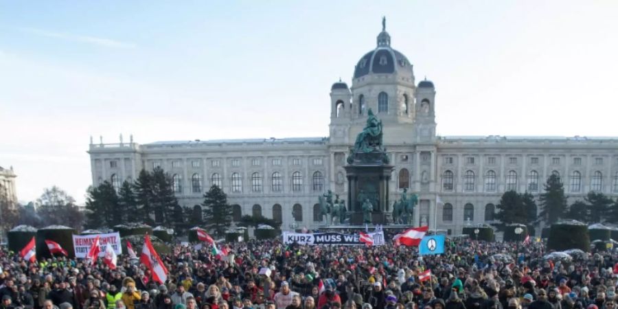 Wien Demonstration