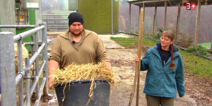 bauer ledig sucht