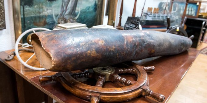Die rund 1,5 Meter lange Spitze eines Walpenis aus der «Oevelgönner Seekiste» wird versteigert. Walpenis