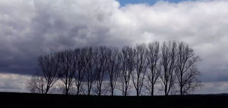 Es ziehen Wolken auf. Ab Sonntag kann die Sonne jedoch wieder teilweise durchdrücken. (Symbolbild)