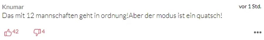 Dass künftig zwölf Mannschaften in der Super League um den Titel spielen, findet «Knumar» nicht schlecht. Die Playoffs hingegen schon.