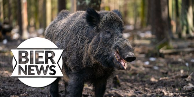 Wildschwein