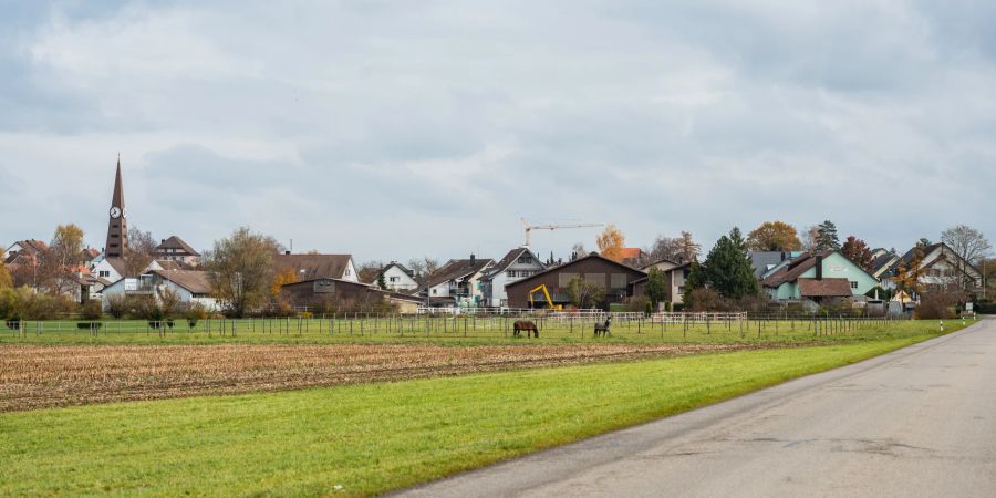 Landwirtschaft in Rickenbach.