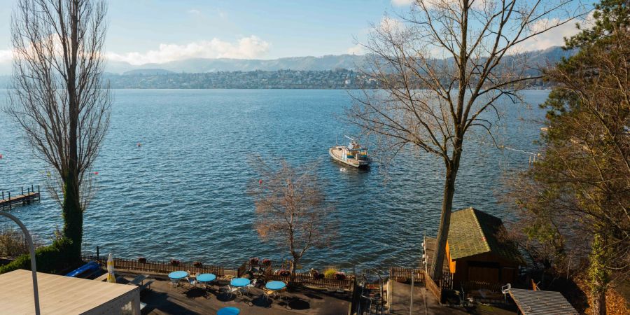 Das nordöstliche Zürichseeufer bei der Gemeinde Zollikon.