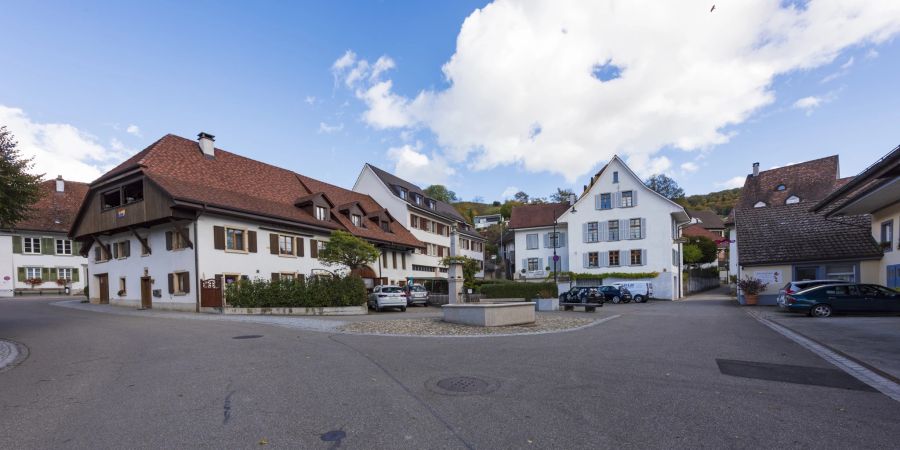 Ein Brunnen an der Ecke Dorfplatz, Buuserstrasse in Maisprach.