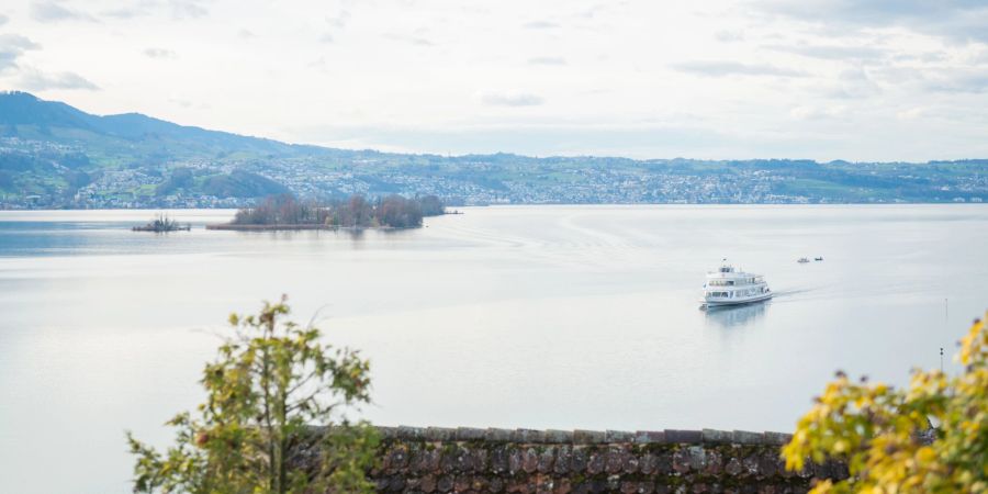 Ein Kursschiff in Richtung Rapperswil-Jona.