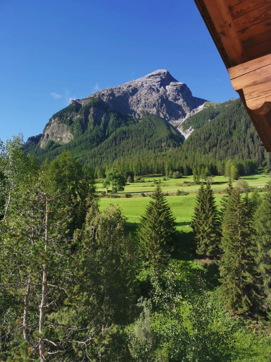 Balkon Aussicht Berge Wald