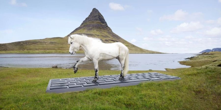 Islandpferd auf riesiger Tastatur von isländischem Panorama