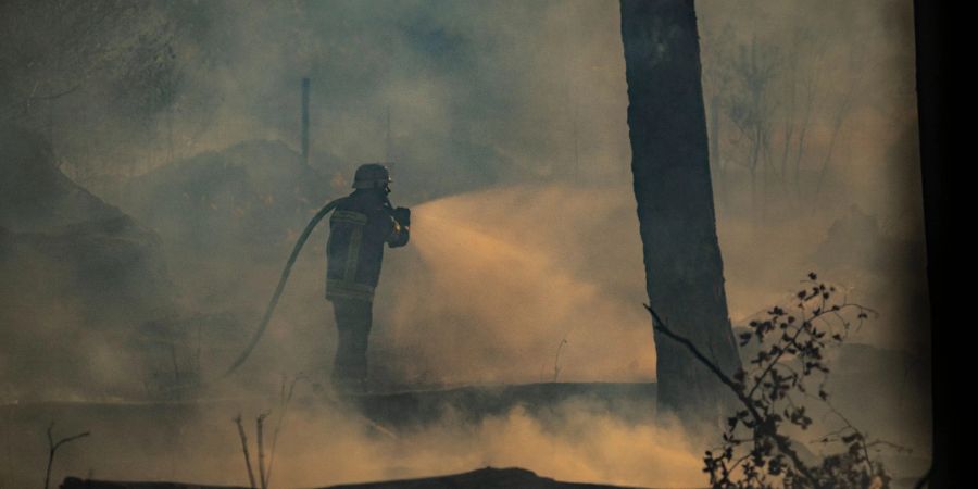 Feuerwehrleute bekämpfen einen Waldbrand bei Raunheim.