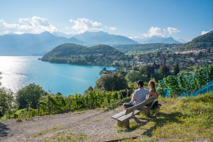 Ausblick vom Spiezberg über die Reben zum See und in die Bucht von Spiez. Sein angenehmes Klima verdankt Spiez seiner Geographie: Die drei Waldhügel, die Spiez umschliessen, halten raue Winde ab, während der See für ausgeglichene Temperaturen sorgt. Herbstwanderungen
