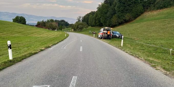 Goldingen: Lenker fährt Kuh an Goldingen: Lenker fährt Kuh an
