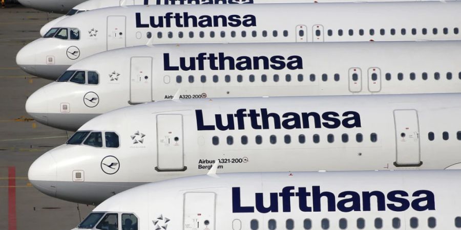 Die Lufthansa-Pilotinnen und -Piloten haben sich deutlich für einen Arbeitskampf ausgesprochen. Ein Streik wurde aber zunächst nicht beim Vorstand beantragt. (Archivbild)