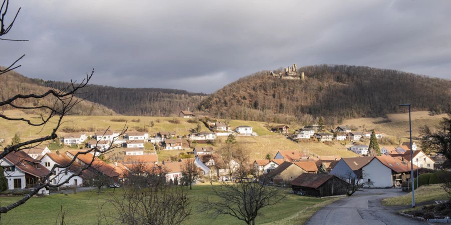 Die Fläche des Gemeindegebiets Thalheim beträgt 992 Hektaren, davon sind 437 Hektaren bewaldet und 63 Hektaren überbaut.