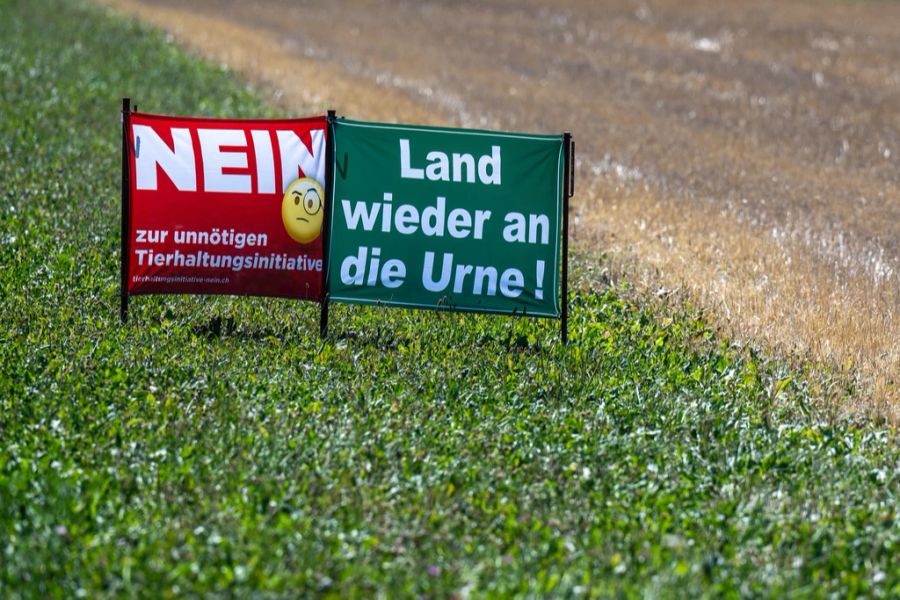 «Land wieder an die Urne!» Im Mai 2021 konnte der Bauernverband zwei Pestizid-Initiativen bachab schicken. Auch gegen Massentierhaltungsinitiative will er mobilisieren.