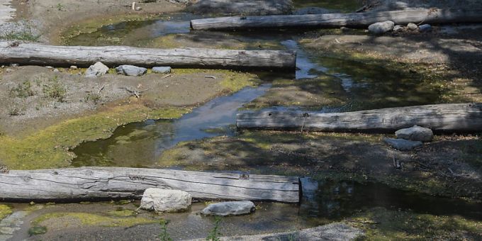 Fast versiegt: Der Fluss Breggia bei Mendrisio TI Mitte Juli. (Archivbild) Fast versiegt: Der Fluss Breggia bei Mendrisio TI Mitte Juli. (Archivbild)